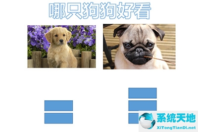 ppt制作投票器(ppt怎么做投票)