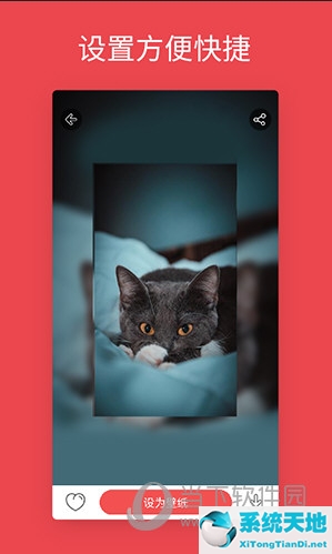 手机动态壁纸软件推荐(手机动态壁纸软件哪个好 让你的桌面更美丽)