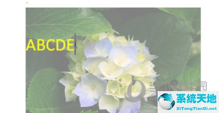 word2010设置背景图片大小(word2010怎么设置背景图片大小)