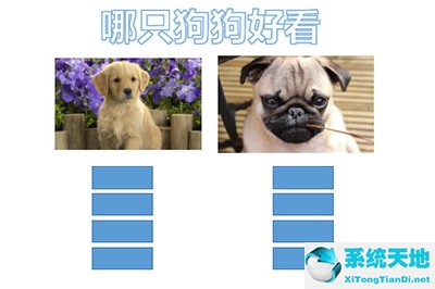 ppt制作投票器(ppt怎么做投票)