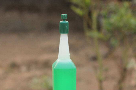 水培白掌不生根怎么办