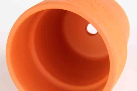 水培绿萝根系太长怎么办