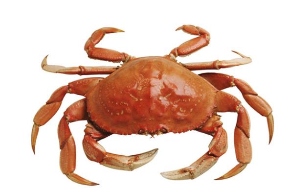 吃螃蟹以后可以吃西瓜吗