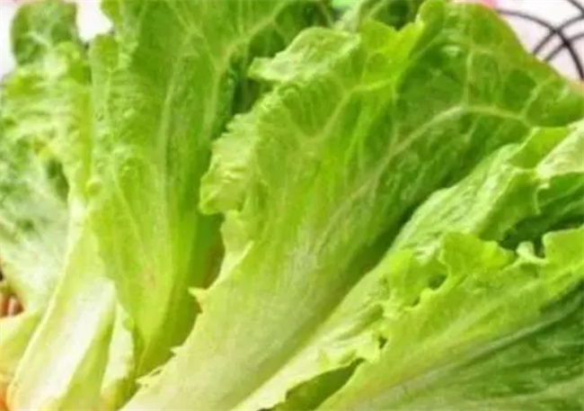 农药残留最少十种蔬菜