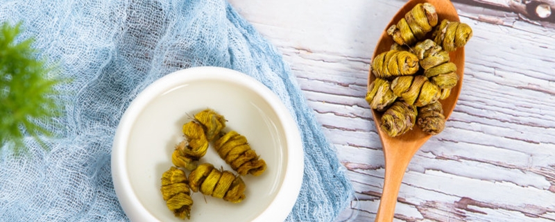 铁皮石斛能晒太阳吗晒后会死吗(铁皮石斛晒太阳好吗)