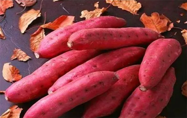 用烤箱烤红薯之前多做一步红薯香甜多汁比卖的好吃(用烤箱烤红薯怎么烤最好吃)