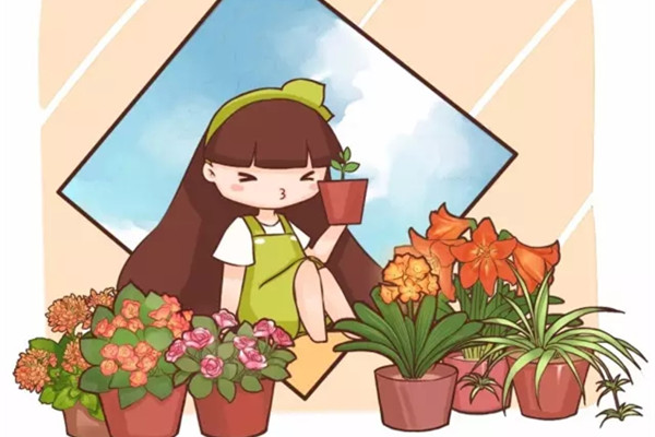 20种常见花卉的养殖技巧(各种花卉养殖方法和注意)