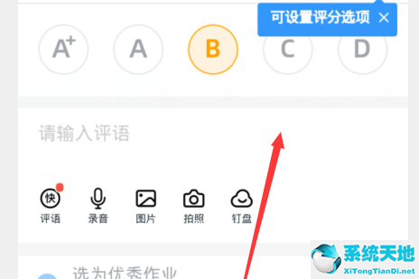 钉钉作业评分等级哪个级别高(钉钉作业怎么评等级的)