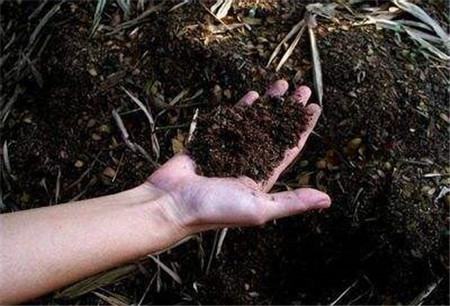 腐熟肥料是什么意思