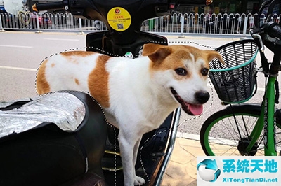 ps如何虚化背景突出人物形象(ps怎么虚化背景人物)