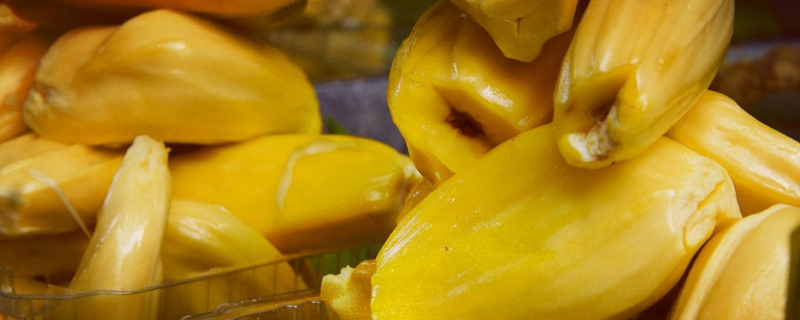 菠萝蜜种子盆栽的教程(菠萝蜜种子盆栽的教程图解)