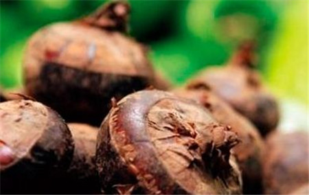 荸荠的功效与作用及营养价值