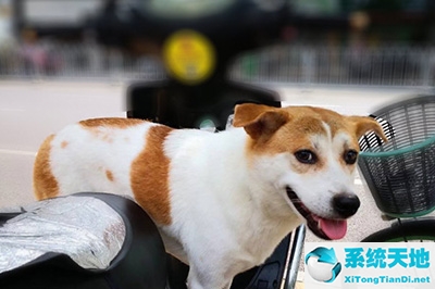 ps如何虚化背景突出人物形象(ps怎么虚化背景人物)