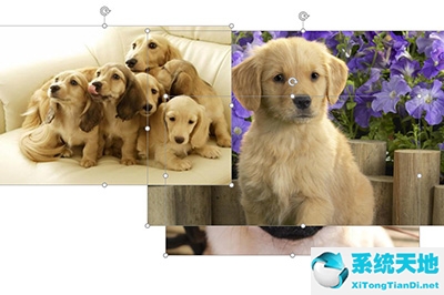 ppt设置图片滚动(ppt里怎么让图片滚动)