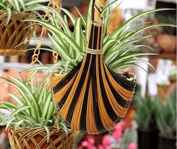 家里的角落怎么布置