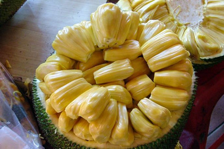 菠萝蜜怎么养熟