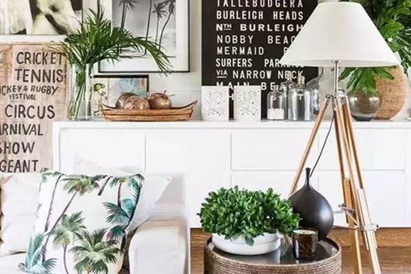 家里的七个角落对应其中花草哦！你放对了吗(家里的角落怎么布置)