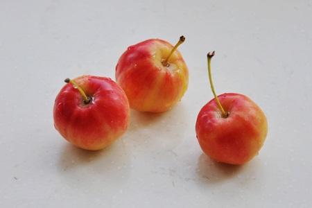 海棠果种植方法和注意事项