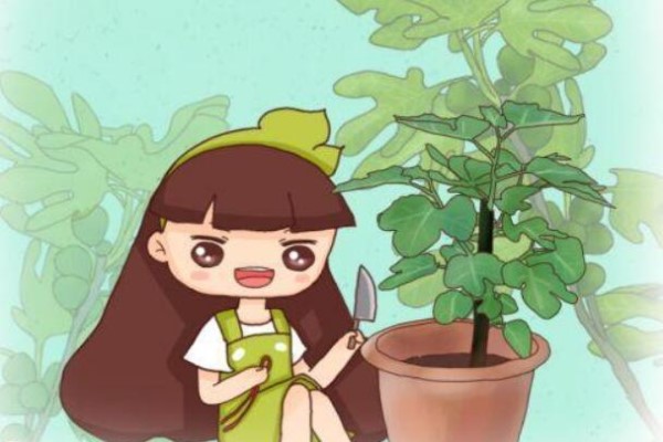 绿萝扎根绳子叶子长得比脸大10天窜1米！(绿萝扎根深吗)