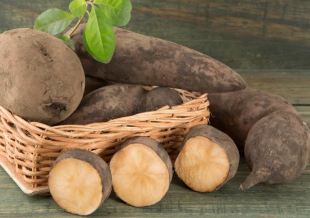 雪莲果有股怪味怎么回事成熟度较低食物变质(雪莲果为什么会有一股药味)