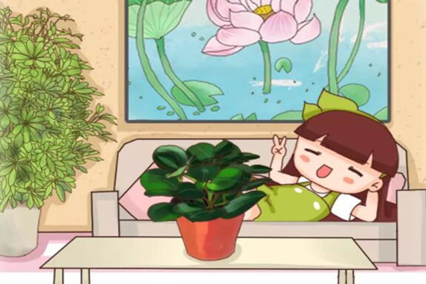 家里这7个角落摆对了花全家老小都健康一年顺风顺水！(家里面摆花有什么讲究)
