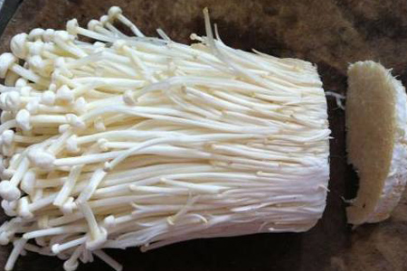 金针菇种植方法 袋装