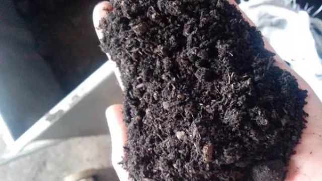 有机肥和无机肥的区别(什么是有机肥和无机肥的区别)