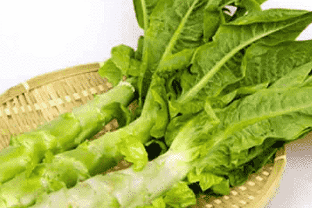 莴笋养护小妙招