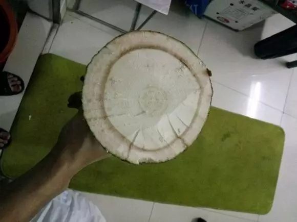 绿萝发财树的养殖方法