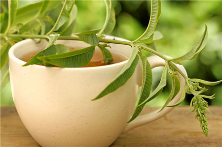 秋天适合种什么草药