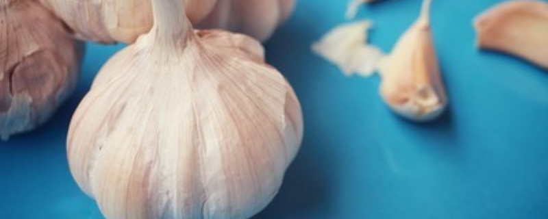 大蒜价格大蒜多少钱一斤(大蒜多少钱一斤市场价2021)