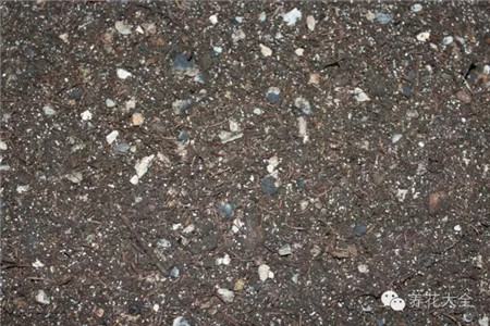 什么是有机肥和无机肥的区别