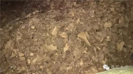 什么是有机肥和无机肥的区别