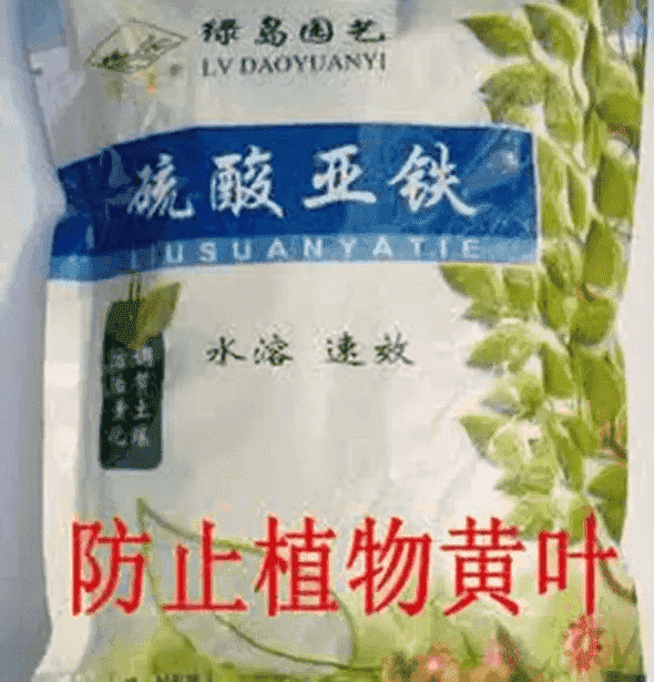 水培富贵竹叶子发黄怎么处理怎么补救