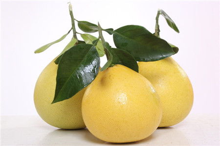 香泡树果实能吃吗