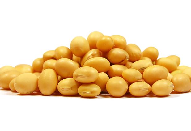 女性吃黄豆的好处