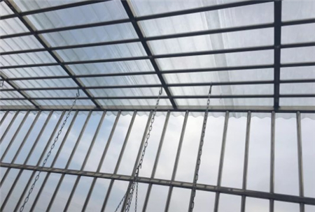 多肉开始枯萎了怎么办