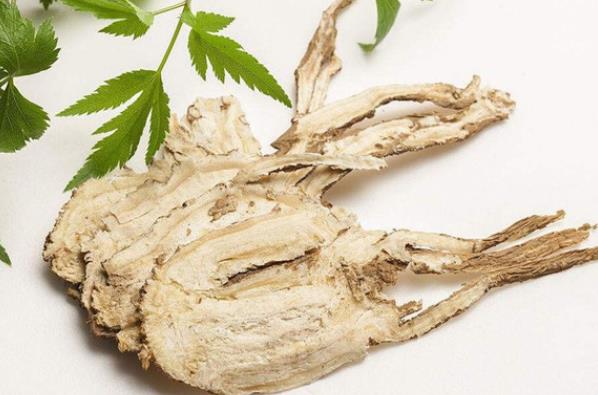 新鲜当归可以洗了晒吗新鲜当归怎么处理(新鲜当归可以直接晒干吗)