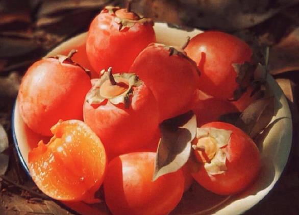 吃完柿子嘴涩怎么办柿子为什么会涩(吃完柿子嘴巴好涩怎么办)