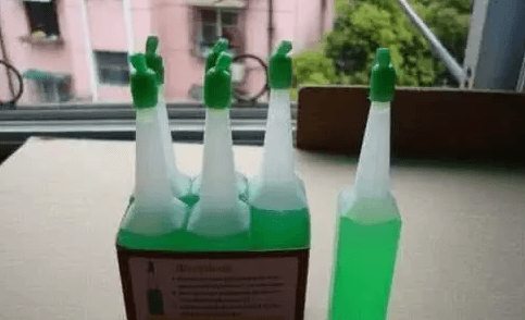 水培富贵竹叶子发黄怎么处理怎么补救