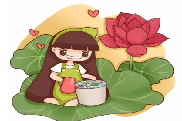 路边捡了几块石头拿来养花朋友都抢疯了！(路边捡的石头可以放鱼缸吗)