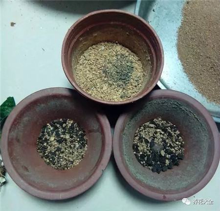 扔花盆有什么忌讳