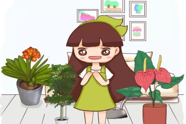 朋友搬家送盆它吸甲醛旺风水送对了财源滚滚送错了…(朋友搬新家送绿植好吗)