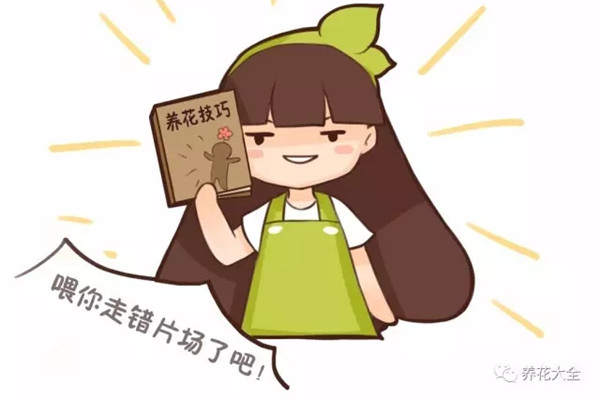 这几种小药片拿来养花真神奇(养花的药片)