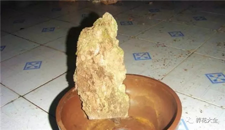 扔花盆有什么忌讳