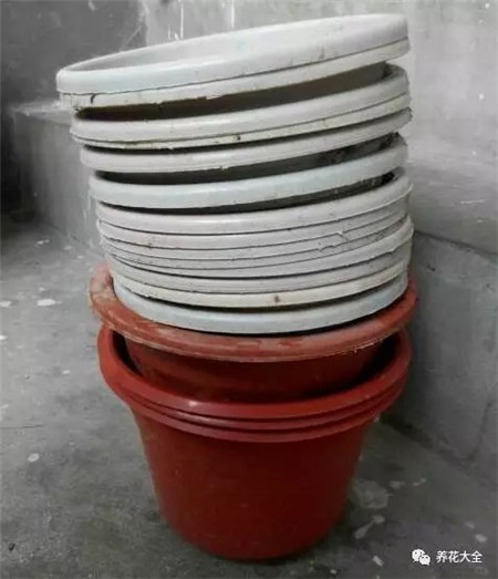 扔花盆有什么忌讳