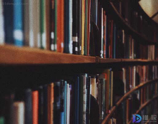 会计试用期的工作总结六百字(会计试用期工作总结100字)