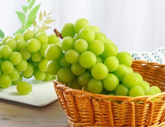 阳光玫瑰葡萄可以保存几天