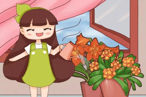 给花喝点洋葱水5天长出大白根花朵嘭嘭开1个月撑爆盆！(洋葱水养花的功效与作用)