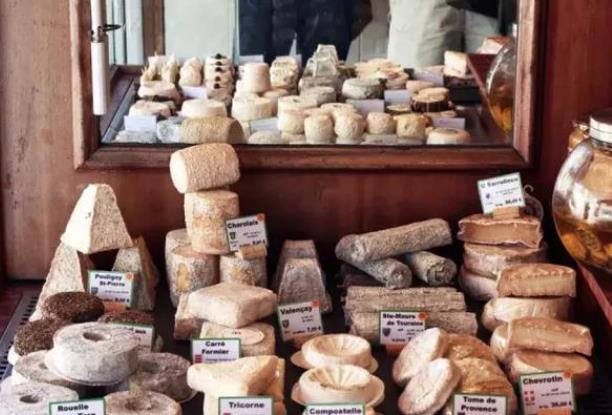 奶酪含乳酸菌吗